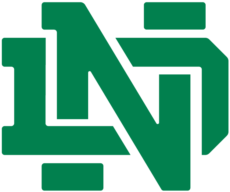 Notre Dame Fighting Irish 1994-Pres Alternate Logo v10 diy fabric transfer